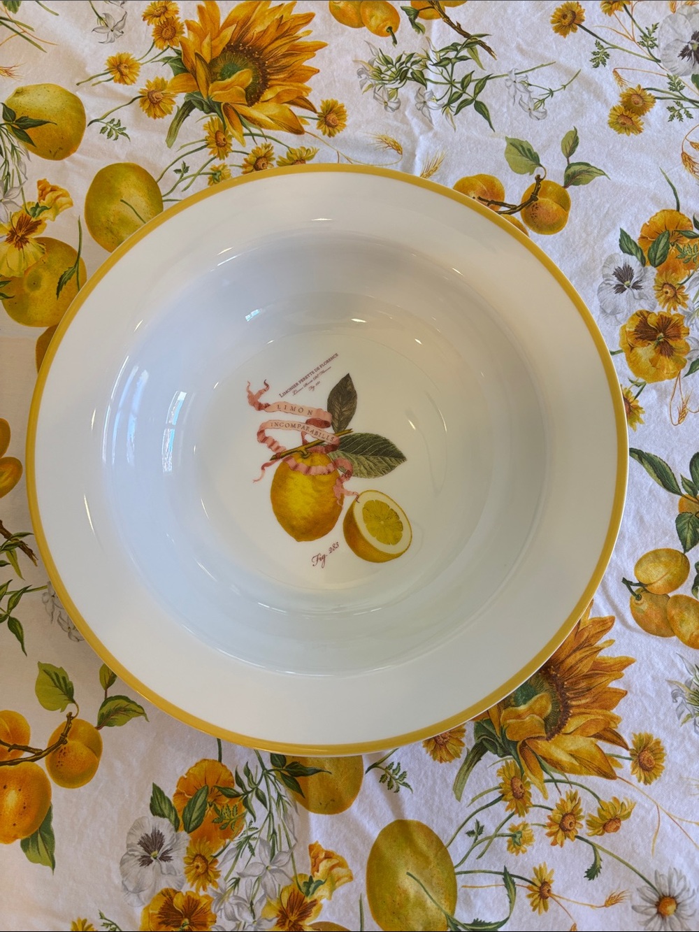 Williams & Sonoma White Large Ceramic Serving Bowl with Yellow Citrus Motif